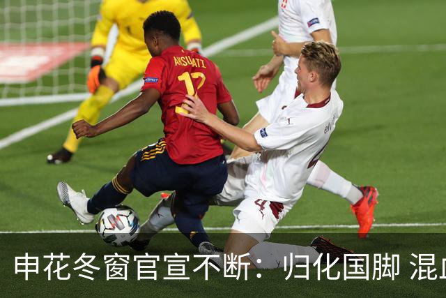 申花冬窗官宣不断：归化国脚 混血前锋 教练组有新人